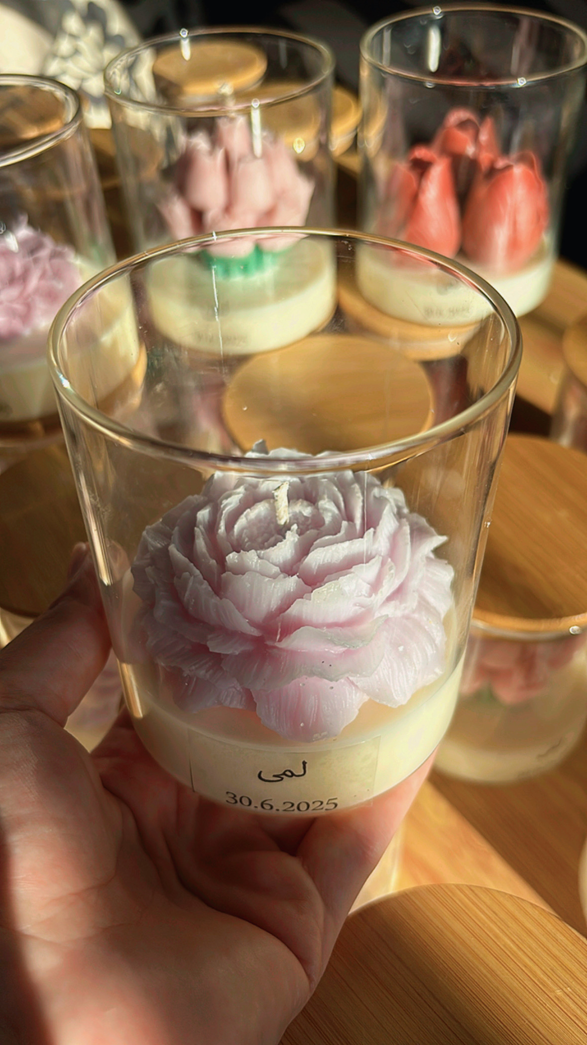 كاسة التوليب حجم كبير